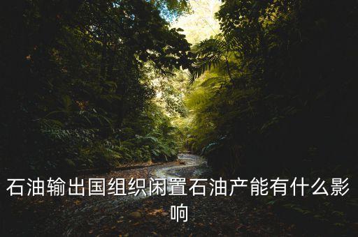 石油私有化后果是什么，大家覺得石油私有化有可能么