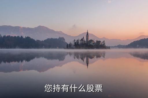 樊淑珍持有什么股，香港中央代理人持有哪些股票