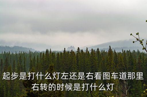 駕駛打右燈和左燈什么意思啊，起步是打什么燈左還是右看圖車道那里右轉(zhuǎn)的時(shí)候是打什么燈
