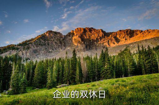 創(chuàng)業(yè)公司什么時(shí)候才會調(diào)為雙休，企業(yè)的雙休日
