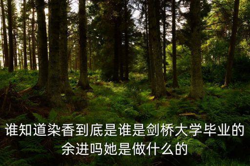 麥肯錫合伙人是什么，誰(shuí)知道染香到底是誰(shuí)是劍橋大學(xué)畢業(yè)的余進(jìn)嗎她是做什么的