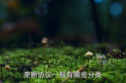 什么是縱向壟斷協(xié)議，壟斷協(xié)議一般有哪些分類