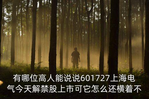 601727上海電氣為什么停牌，上海電氣股票今天怎么不漲