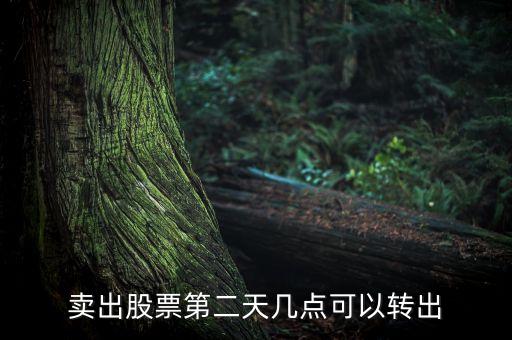 股票賣了錢什么時(shí)候可以轉(zhuǎn)出，股票成功賣出后多長(zhǎng)時(shí)間可以從帳戶轉(zhuǎn)出資金