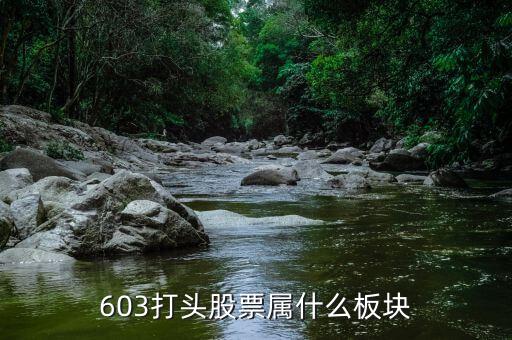 601608屬于什么板塊，600618屬于什么板塊