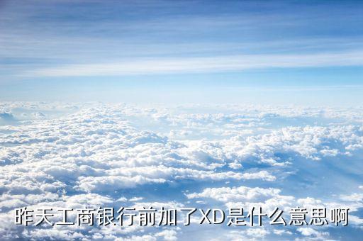 xd工商銀行是什么意思，征信系統(tǒng)中xd代號(hào)是哪個(gè)銀行