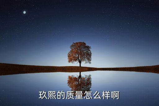 玖熙鞋子屬于什么檔次，玖熙的鞋子怎么樣 NINE WEST