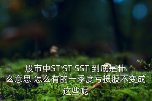 st銀山是什么公司，數(shù)量單位用st表示是什么意思