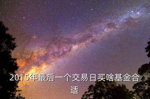 2015下半年買什么基金，2015年最后一個交易日買啥基金合適