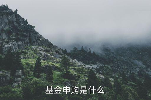 基金申購什么意思，基金支取基金申購什么意思