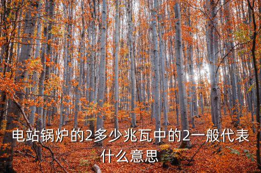 電站兆瓦什么意思，兆瓦是哪一個(gè)物理量的單位發(fā)電能力達(dá)45兆瓦說(shuō)明什么意思