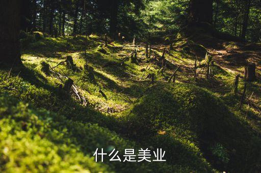 美業(yè)集團是什么行業(yè)，什么是美業(yè)