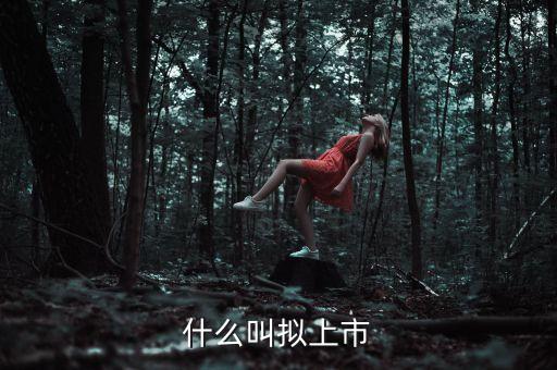 什么叫擬上市，什么是擬上市