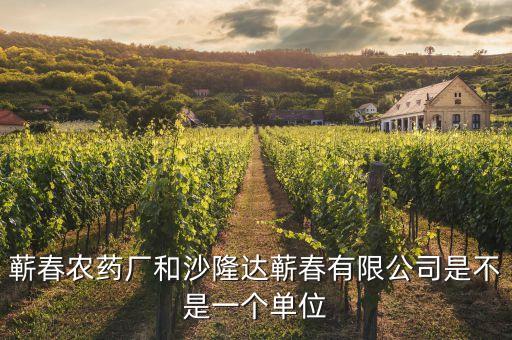 蘄春汪潮涌投資了什么，蘄春農(nóng)藥廠和沙隆達蘄春有限公司是不是一個單位
