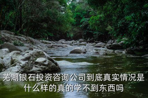 伯威控股是什么，威凌控股公司是做什么的