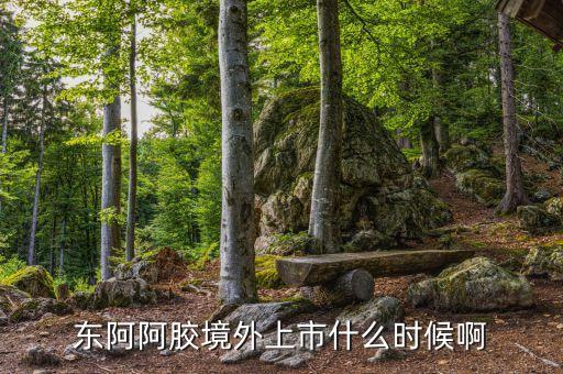 東阿阿膠股票什么時候發(fā)行，東阿阿膠境外上市什么時候啊