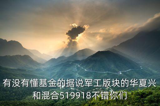 519918是投資什么，519688是什么基金