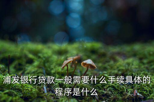 浦發(fā)銀行網(wǎng)貸通要什么條件，TB支持浦發(fā)  浦發(fā)開通網(wǎng)銀要什么條件比如要帶點什么的