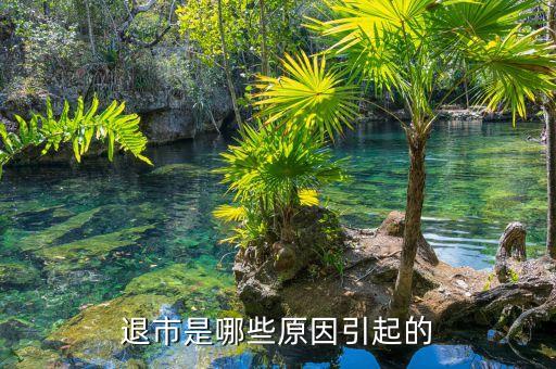 弘成教育為什么退市，至今為止上市公司還沒(méi)有一個(gè)真正破產(chǎn)清算的吧退市和重整的不算