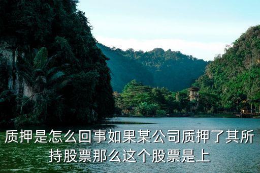 博匯紙業(yè)質(zhì)押為什么，600143股東為什么要質(zhì)押股票是好事