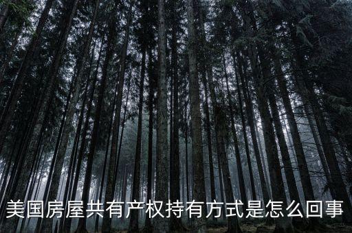 什么是共有產(chǎn)權(quán)產(chǎn)權(quán)模式，美國(guó)房屋共有產(chǎn)權(quán)持有方式是怎么回事