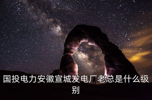 國電投什么級別，中國國電集團是什么級別