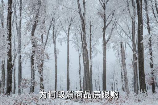 為什么要取消限購，為何又要取消房屋限購