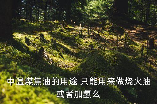 煤制油與煤焦油加氫有什么區(qū)別，焦油加氫改質(zhì) 加氫裂解有什么區(qū)別