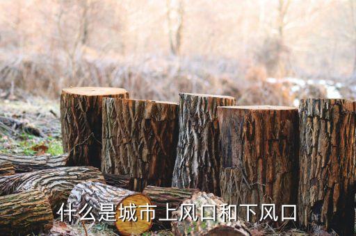 上風(fēng)口是什么意思，上風(fēng)口是什么意思
