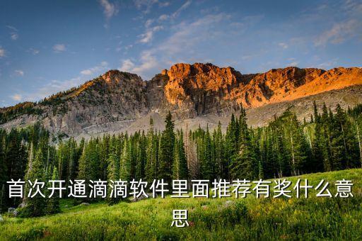 滴滴獎(jiǎng)牌權(quán)益什么意思，滴滴單單獎(jiǎng)利20元封頂什么意思