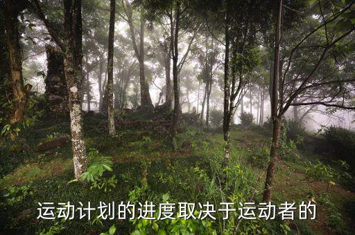 進(jìn)度安排的靈活性是什么決定，運(yùn)動(dòng)計(jì)劃的進(jìn)度取決于運(yùn)動(dòng)者的