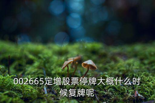 萬鴻集團什么時候復牌，000560各位大神知道啥時候復牌