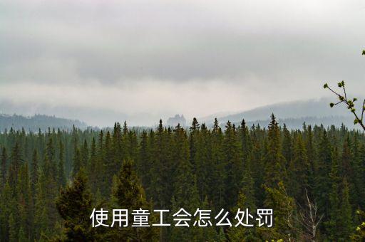 勞動法中用童工有什么懲罰，使用童工會怎么處罰