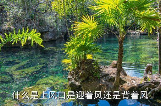 什么是上風口是迎著風還是背著風
