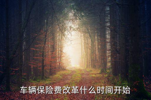 車(chē)輛保險(xiǎn)費(fèi)改革什么時(shí)間開(kāi)始