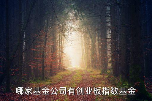 什么是中創(chuàng)400指數(shù)，基金里頭講到的 中創(chuàng)400 和 中小板300 有什么區(qū)別前者