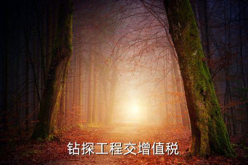 鉆探費(fèi)繳什么稅，鉆井公司主要繳納哪些稅