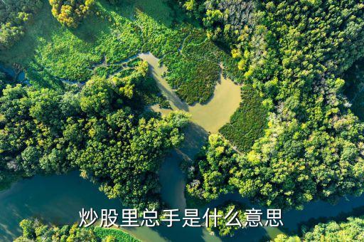 股票中的總手是什么意思，股票中的總手什么意思