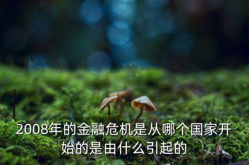 這一次的金融危機(jī)發(fā)端于什么，請(qǐng)問這次金融風(fēng)暴的起始是什么樣的具體的原因