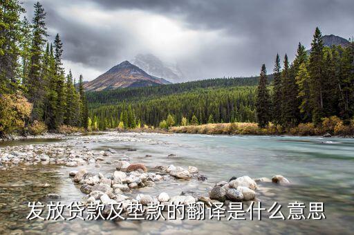 什么是發(fā)放貸款及墊款，loans and advances to customers是什么意思