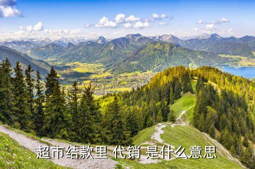 金融學(xué)里的什么是代銷，超市結(jié)款里 代銷 是什么意思