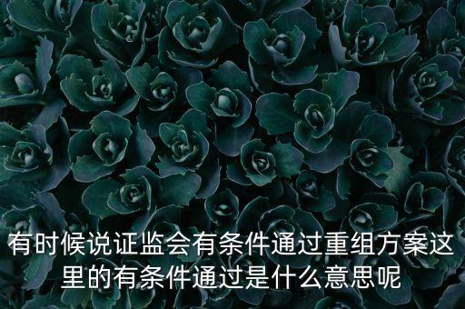 重組項目過會是什么意思，資產(chǎn)重組獲股東大會高票通過什么意思