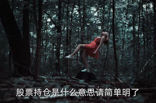 股票的持倉是什么意思，股票持倉是什么意思請(qǐng)簡(jiǎn)單明了