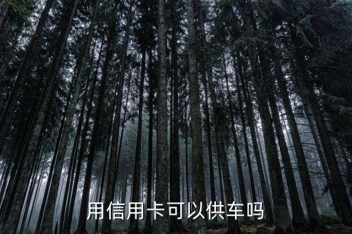 供車用什么信用卡，用信用卡可以供車嗎