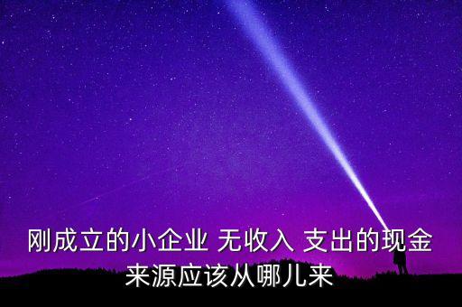 小企業(yè)主為什么沒現(xiàn)金，剛成立的小企業(yè) 無收入 支出的現(xiàn)金來源應該從哪兒來