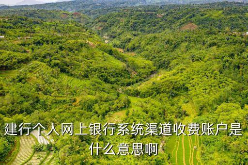 建行個人網上銀行系統(tǒng)渠道收費賬戶是什么意思啊