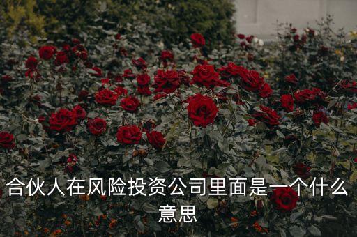 vc合伙人是什么，風(fēng)險投資公司中的合伙人和經(jīng)理人都是什么意思