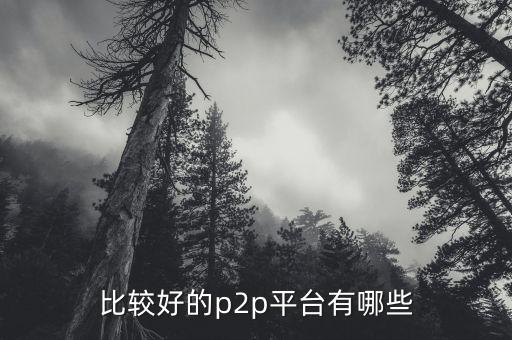 什么p2p平臺(tái)比較靠譜，請(qǐng)問(wèn)國(guó)內(nèi)P2P平臺(tái)哪家比較安全可靠點(diǎn)想了解下