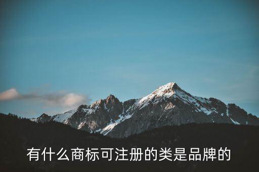 劉陽的全盛集團(tuán)的注冊商標(biāo)是什么，有什么商標(biāo)可注冊的類是品牌的