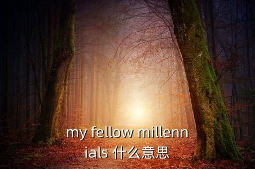 為什么叫千禧一代，my fellow millennials 什么意思